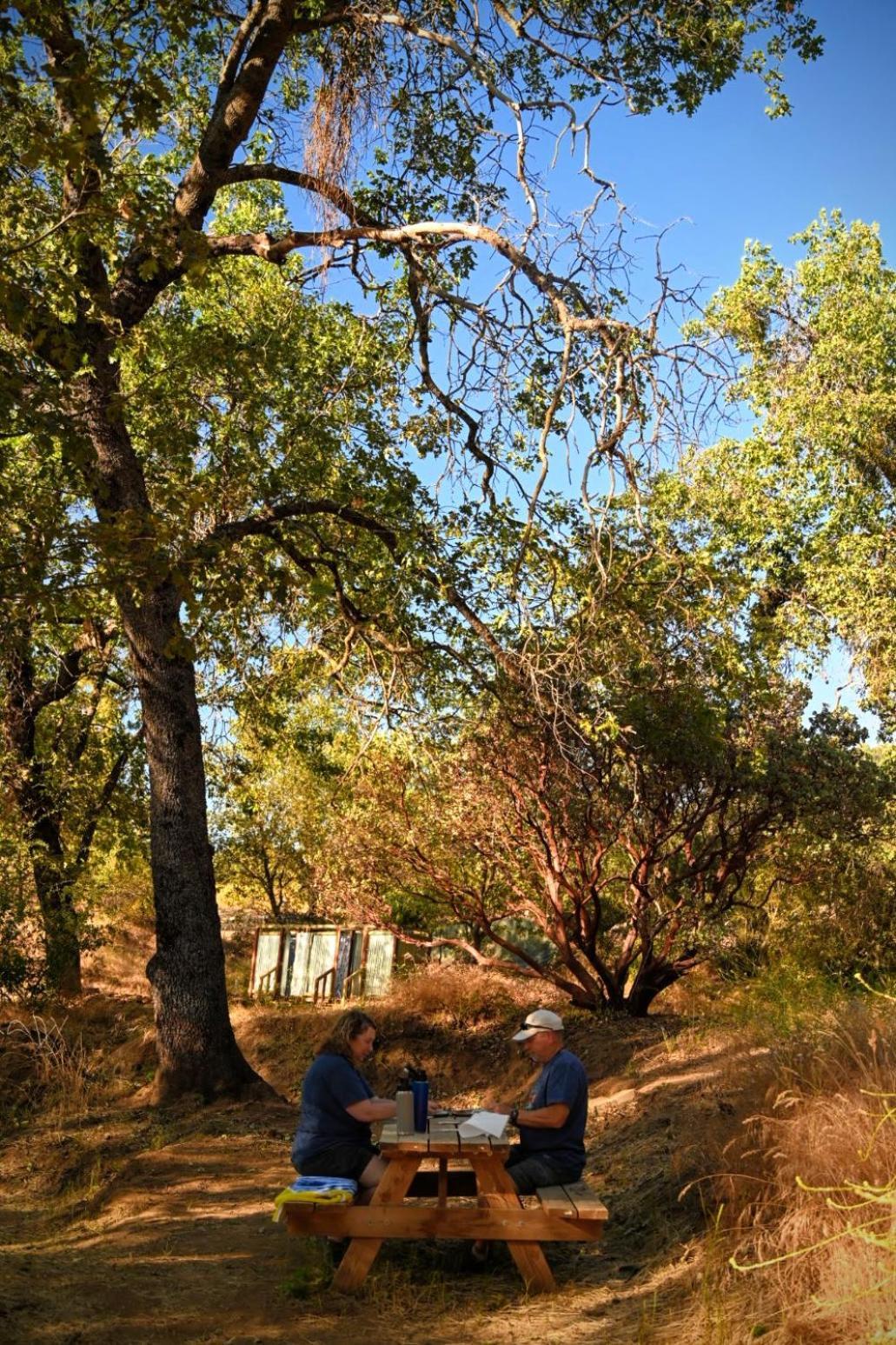 Campground At Sequoia Mountain Farms - Bring Your Own Tent Or Rv - No Bedrooms Or Beds Provided Miramonte Buitenkant foto