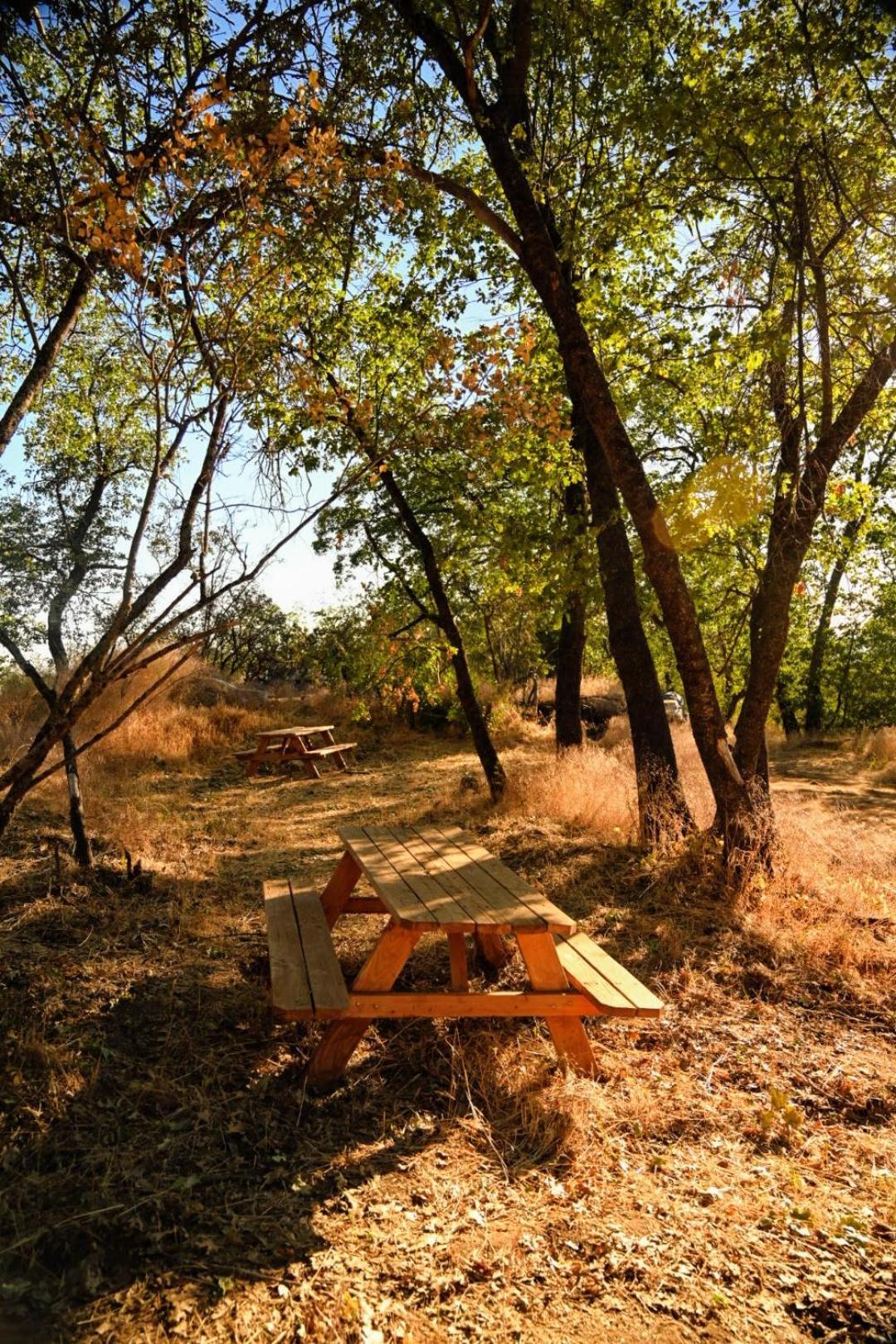 Campground At Sequoia Mountain Farms - Bring Your Own Tent Or Rv - No Bedrooms Or Beds Provided Miramonte Buitenkant foto
